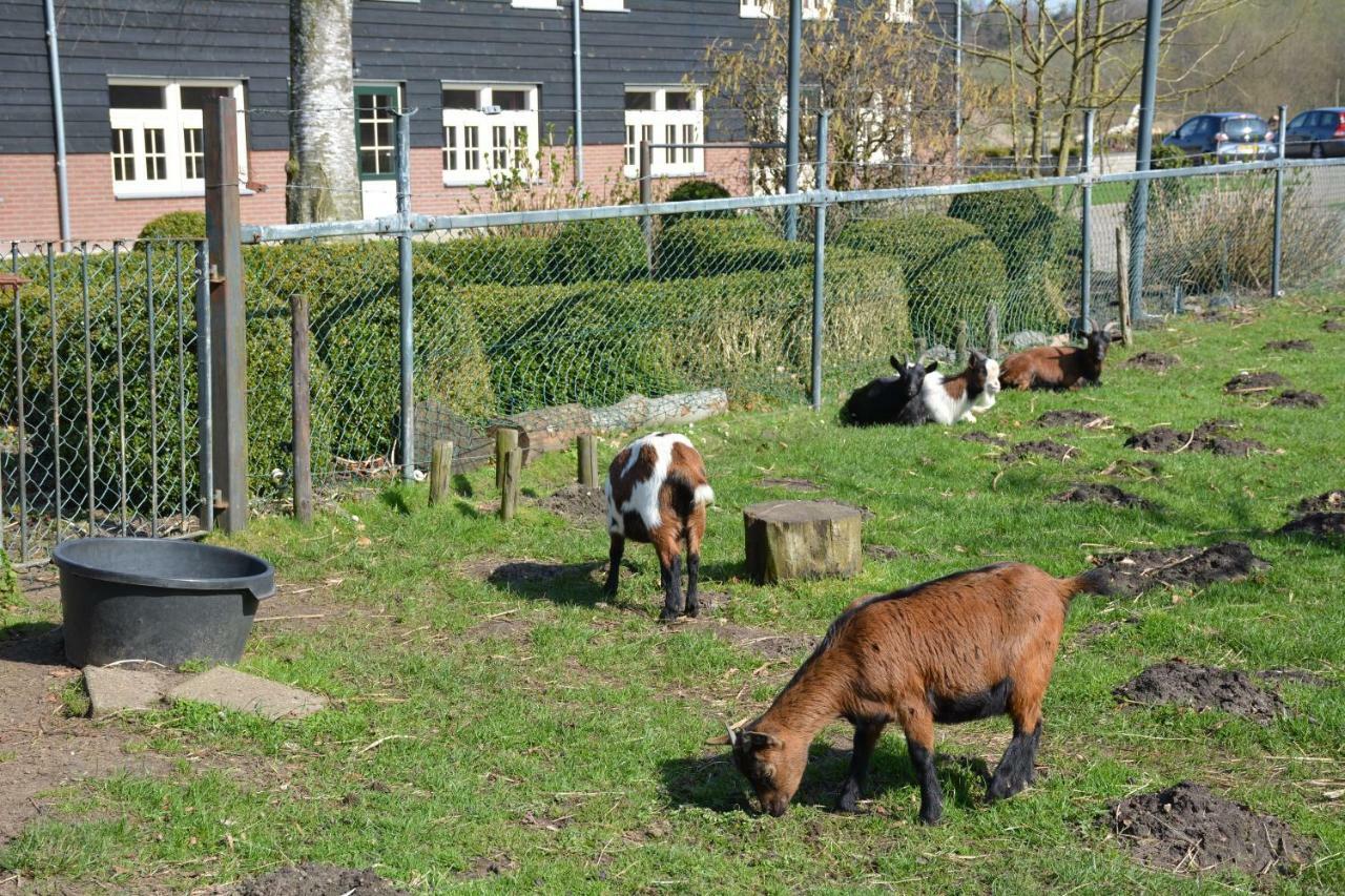 De Rulse Hoeve Heeze ภายนอก รูปภาพ
